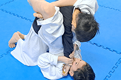サンボ・柔術